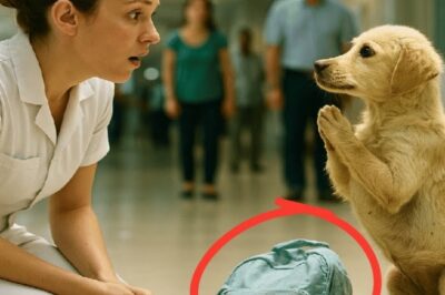 The midday sun blazed over the crowded streets. Few noticed the tiny puppy stumbling along the sidewalk. No more than 2 months old, ribs faint beneath messy fur. In its mouth, it gripped the strap of an old child’s backpack, dragging the bag heavily across the concrete, leaving dusty trails behind. Every step was agony.