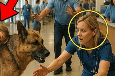 K9 Dog Walks Into Hospital with a Wounded Girl – No One Could Believe What Followed!