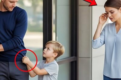 The sun was dipping behind the buildings of downtown Seattle when Mark Hail turned the key in the lock of his small legal aid office. He was exhausted. The kind of exhaustion that lives in your bones after spending the whole day fighting for people who feel invisible. He just wanted to go home, eat the leftover pasta, maybe watch a basketball game, and forget the world for one night.