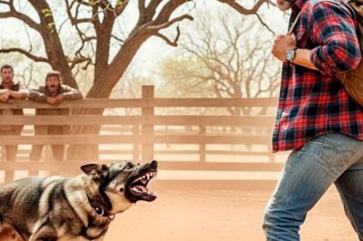 Nobody Could Tame This Wild German Shepherd — Then a Veteran Did Something Shocking