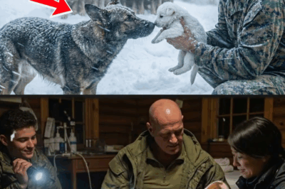 Marine’s German Shepherd Had 10 Puppies — But the Smallest One Changed Everything