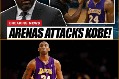 The Audacity of Legacy Assassination: Gilbert Arenas’ ‘Sidekick’ Claim on Kobe Bryant’s Rings Ignites a Firestorm of Contradiction