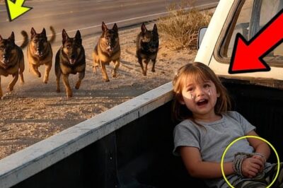Little Girl Gave a Hidden Signal at the Rest Stop — But 14 Police Dogs Were the Only Ones Who Notice