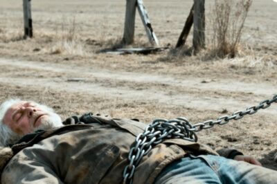 The Dog Chained to a Homeless Man Until Death, His Effort to Return to His Owner Will Bring Tears